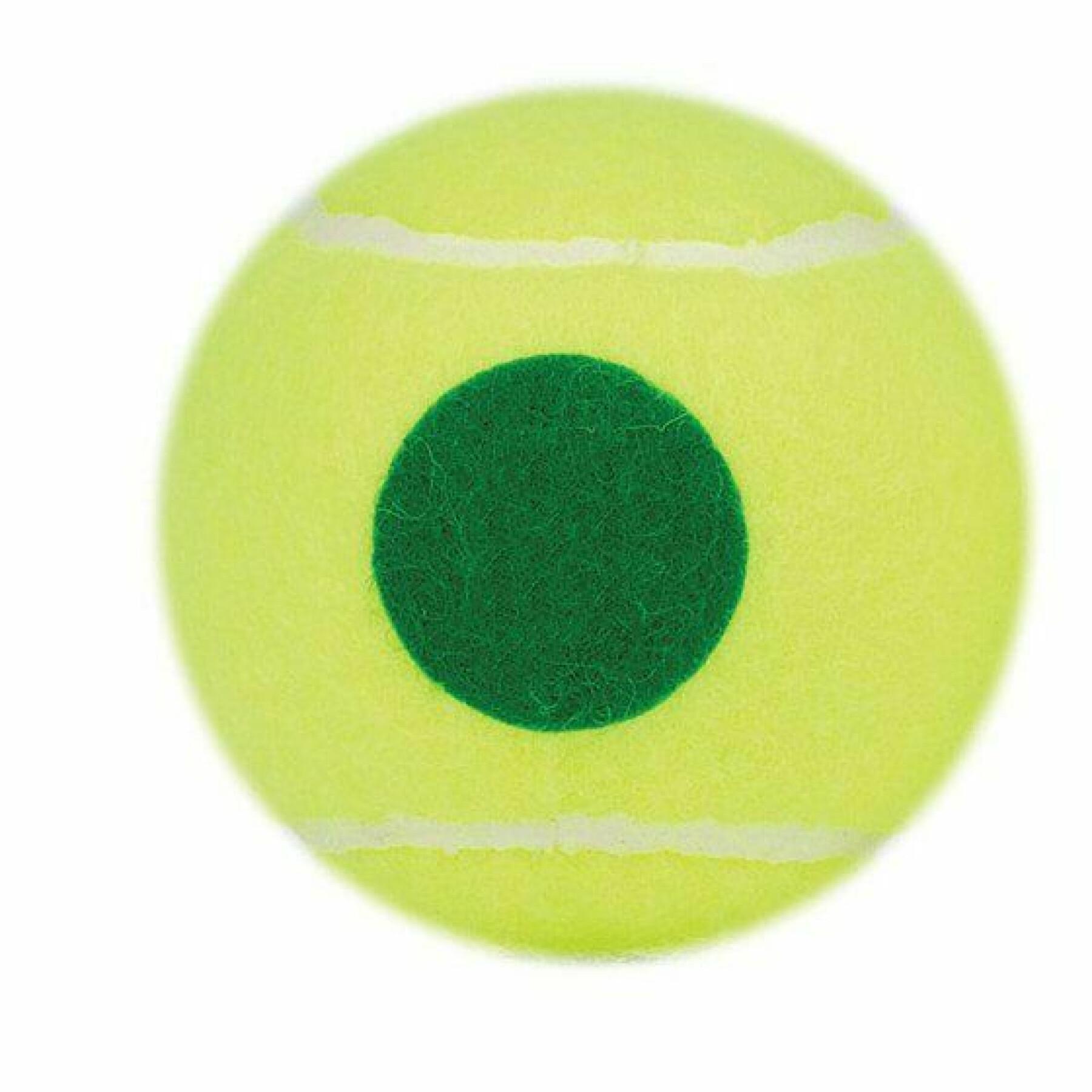 Tube de 3 balles de tennis Prince Play & Stay - stage 1