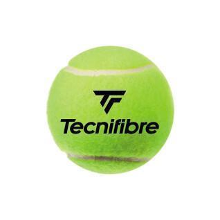 Lot de 4 balles de tennis Tecnifibre Club Pet