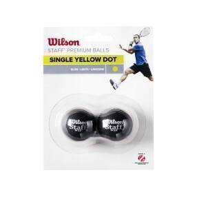 Lot de 2 balles de squash Wilson Staff