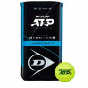 Lot de 2 tubes de 4 balles de tennis Dunlop atp championship