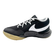 Chaussures indoor Nike Court Flight